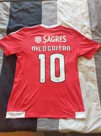 Camisola oficial Nico Gaitan - Benfica - L
