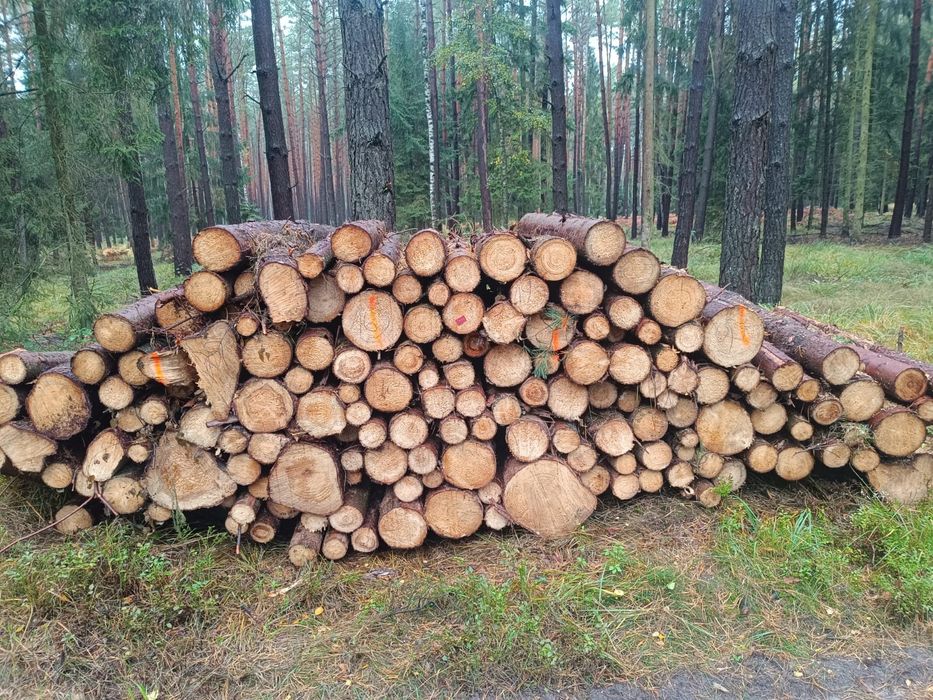 Drewno opałowe w wałkach