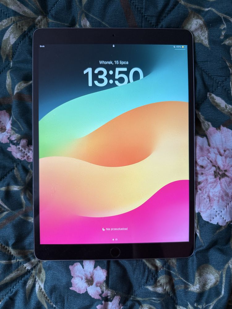 Ipad Pro 10,5 256 GB