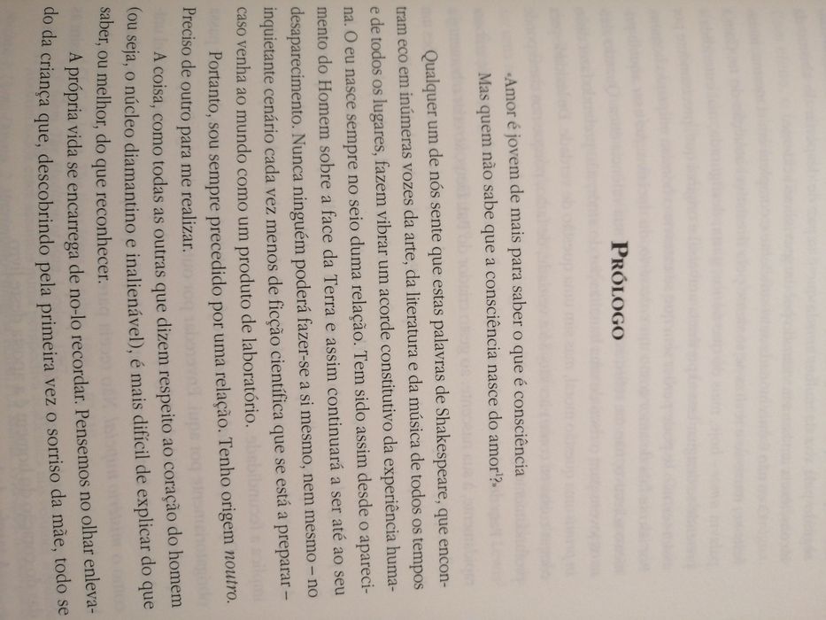 Homem Mulher - O caso decisivo do amor