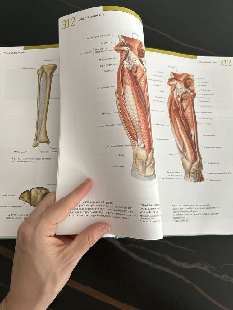 Sobota - Atlas de Anatomia Humana volume 1 e 2