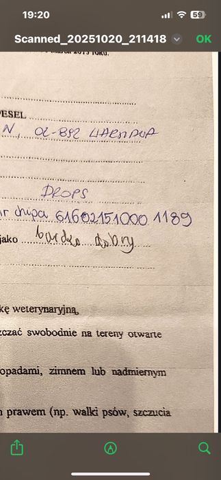 Nutka szuka nowego domu