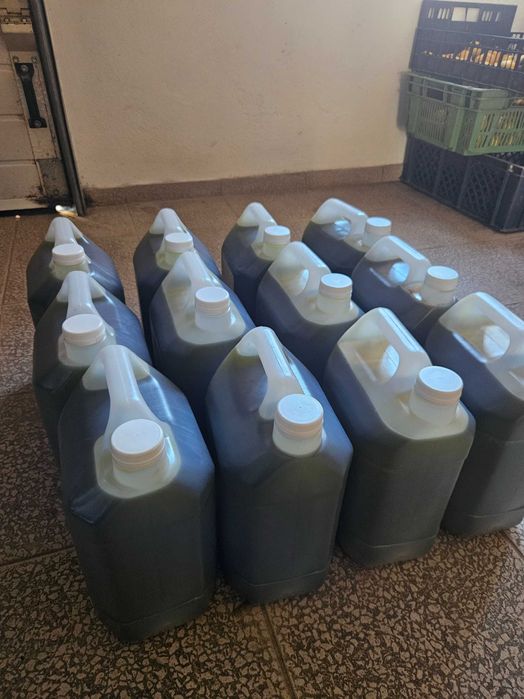 Azeite caseiro na região centro 40 euros 5 litros