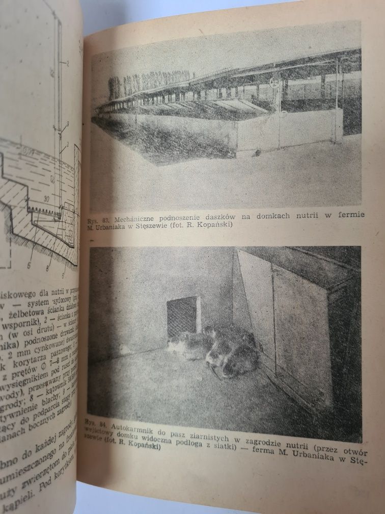 Chów nutrii - Roman Kopański. Książka