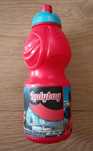 Bidon Ladybug 400ml
