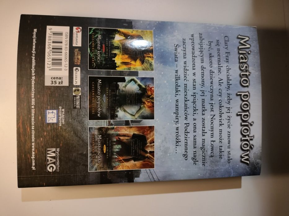 Książka Miasto popiołów