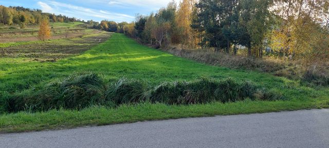 Krajno-Zagórze. Sprzedam działkę rolno-budowlaną 95 arów