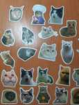 Наклейки котів - меми