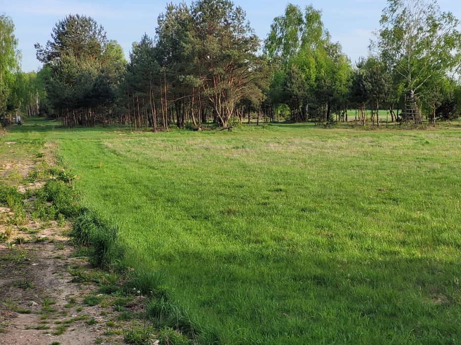 Działki na sprzedaż