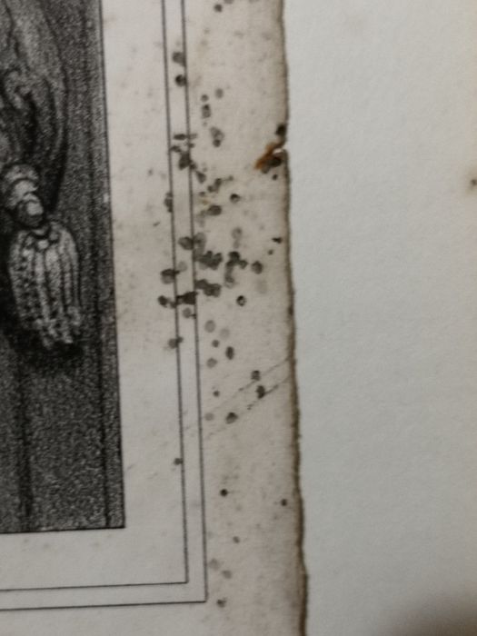 Gravura Nossa Senhora da Missão