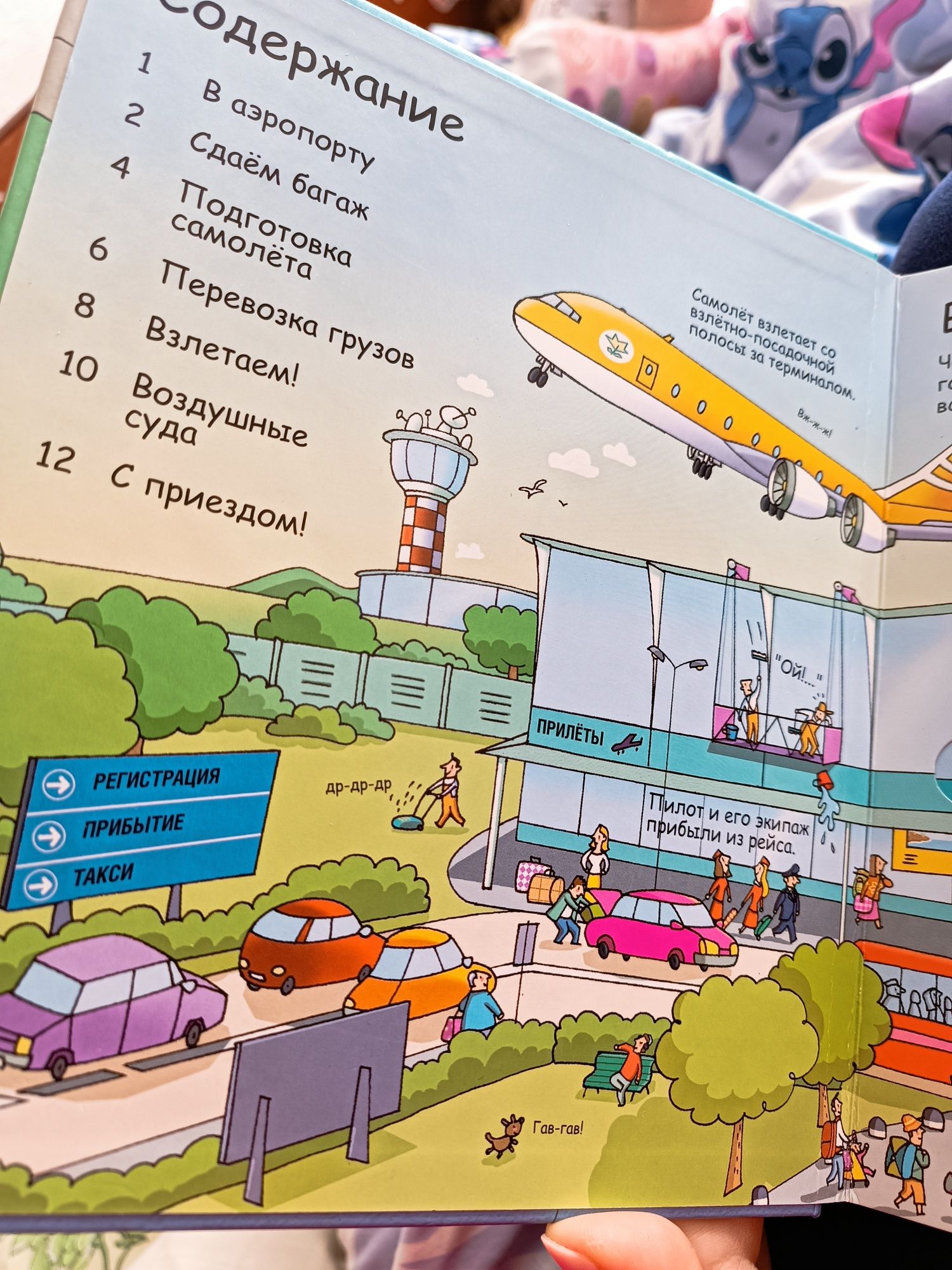 Секреты аэропорта волшебные створки Робинс
