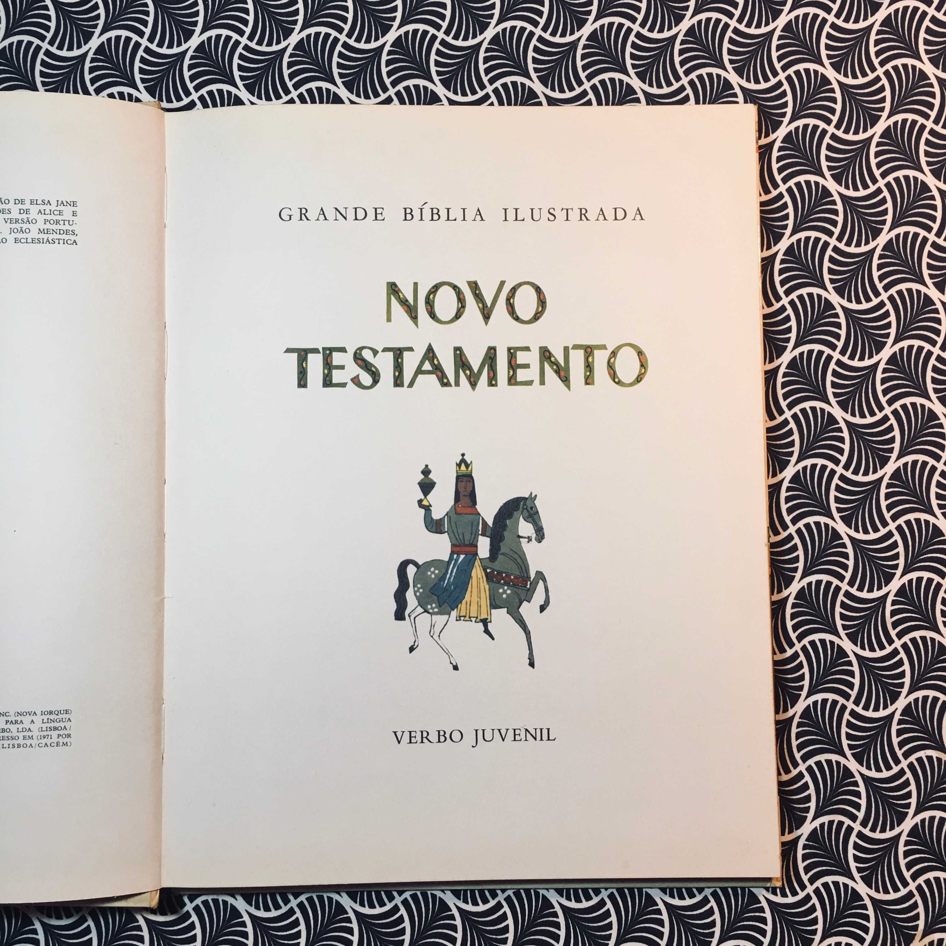 Grande Bíblia Ilustrada: Novo Testamento