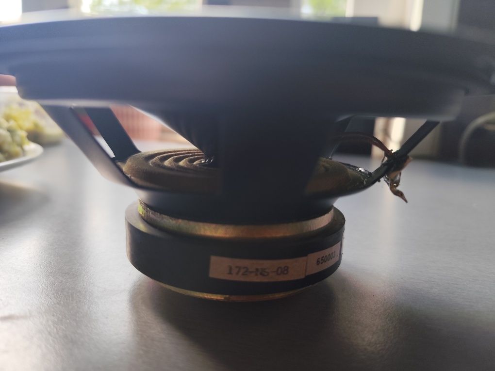 Vifa 172-NS-08 TDL Electronics RTL 3 RTL2 Para Serwis Stan Bdb