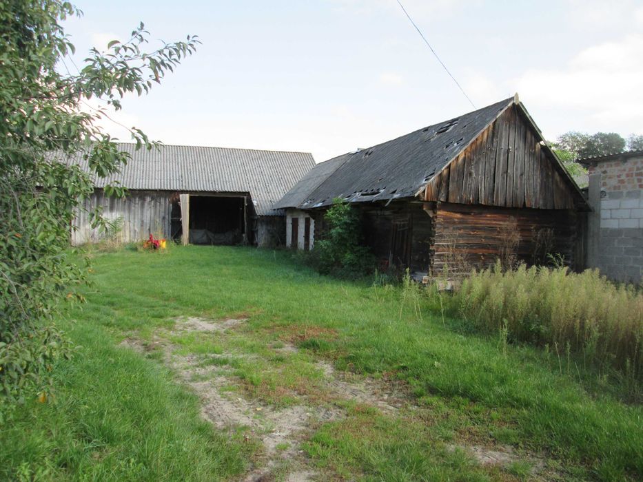 Siedlisko sprzedam 85 arów