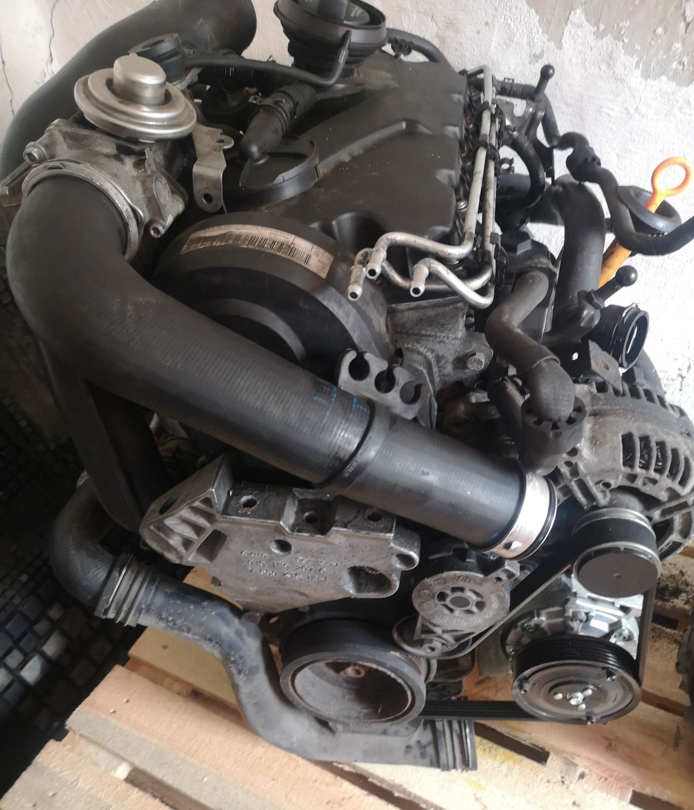 Silnik 1.9 TDI kompletny sprawny Volkswagen Golf 5 model - BXF025171