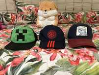 Conjunto de 3 Bonés variados