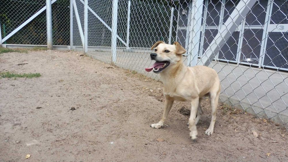 Rozbrykany Tymianek potrzebuje stabilnego domku na już