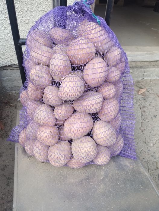 Ziemniaki żółte oraz czerwone