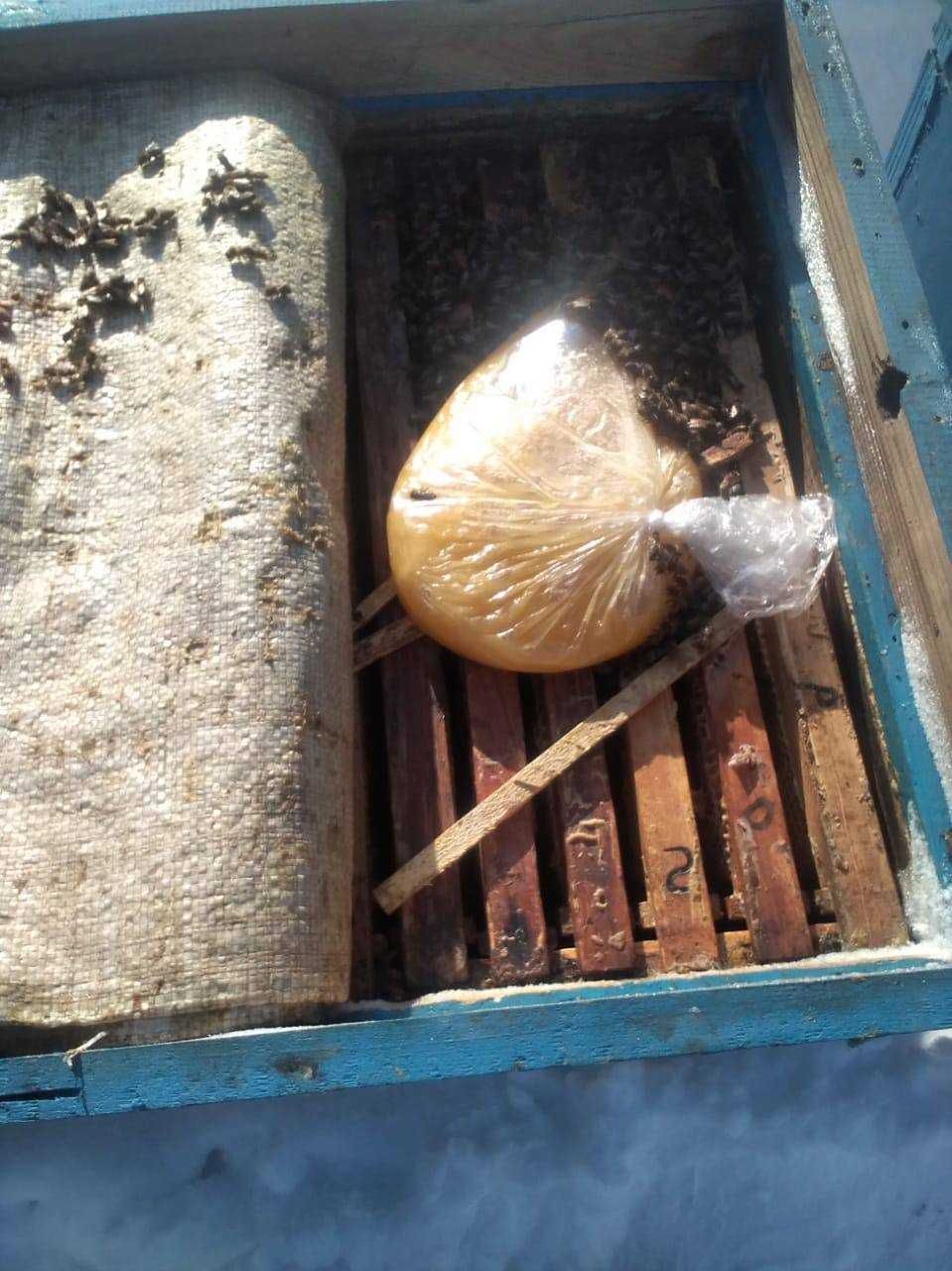 Продам 10 пчелосимей в 12 рамочных ульях