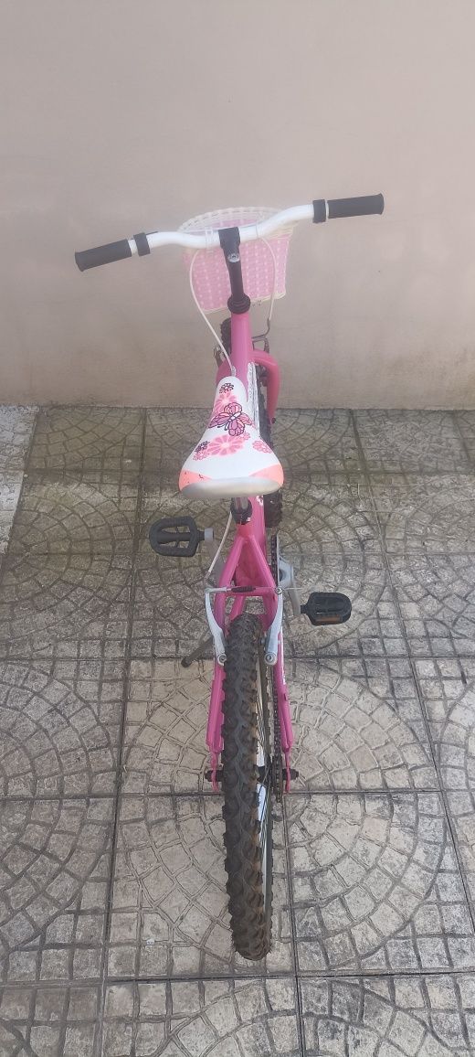 Bicicleta roda 20