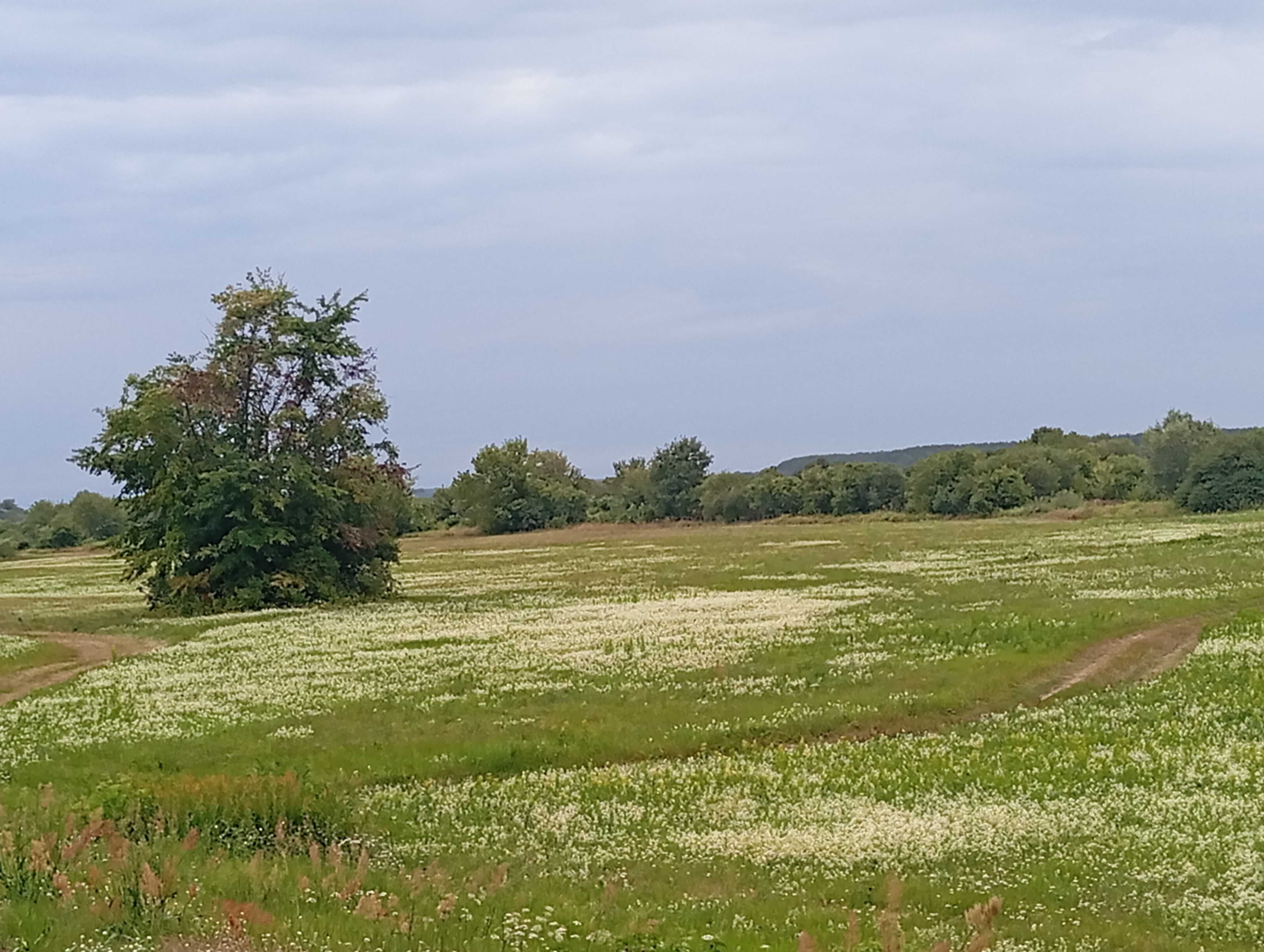 "Domek pod lasem" - letnie promocje! Nadbużański Park Krajobrazowy