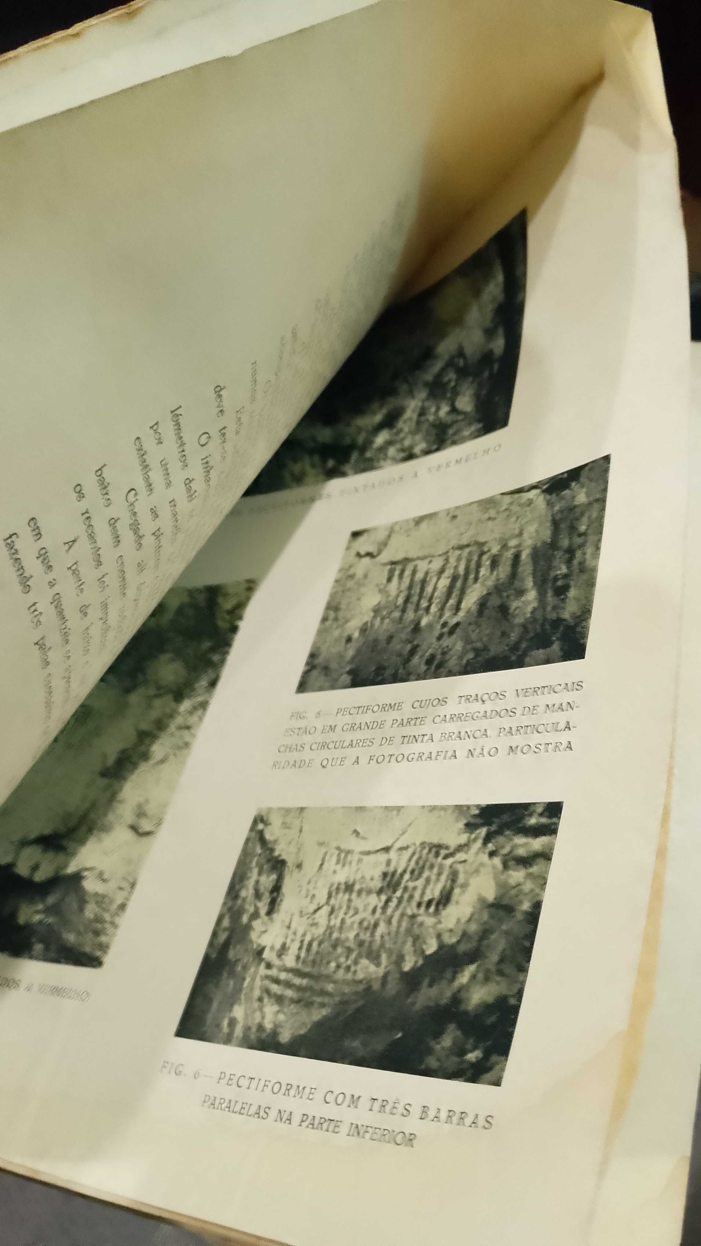 Pinturas Rupestres do Chifumbázi e Estudo da Idade da Pedra Moçambique