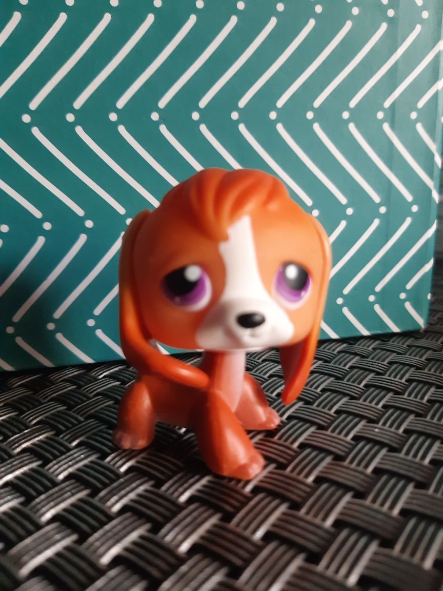 Piesek Beagle #301 Hasbro