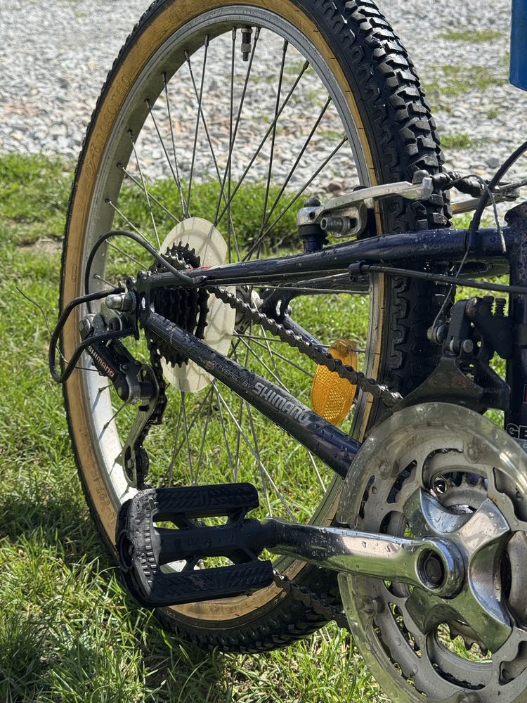 Rower Vortex 24”