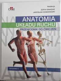 Anatomia układu ruchu Ignasiak