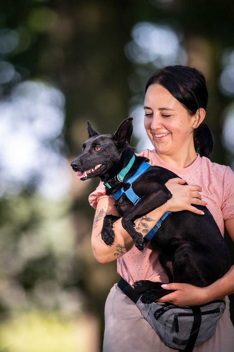 Koko – mały wielki bohater, który szuka swojego człowieka!