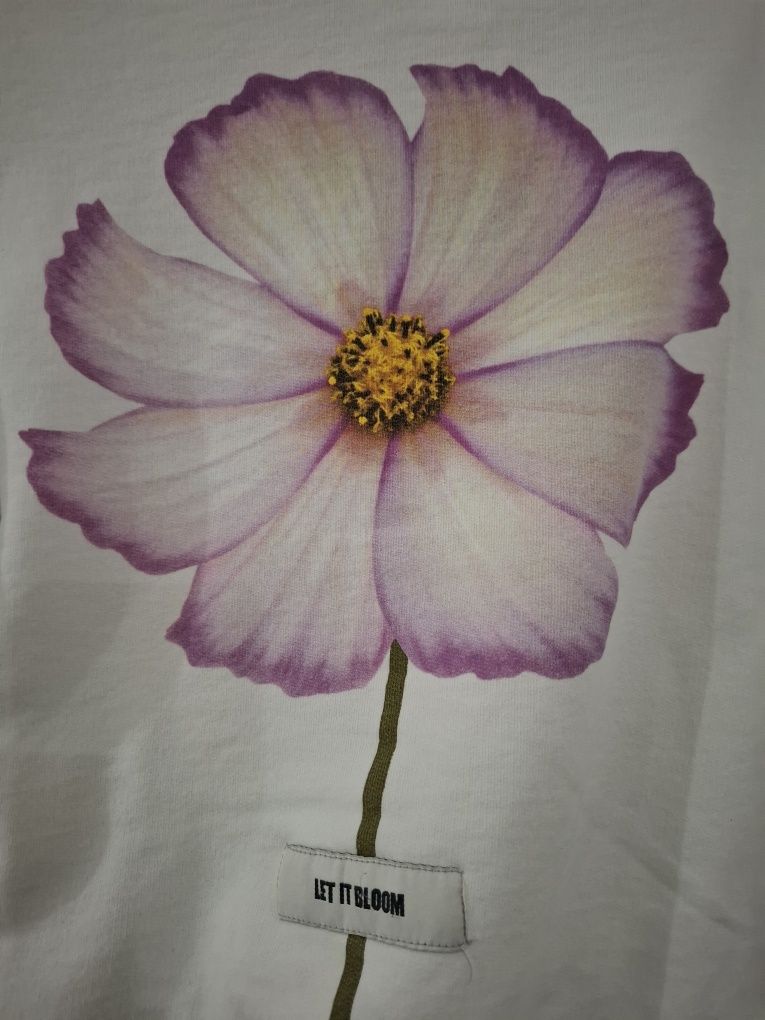 Bluza Zara 164cm