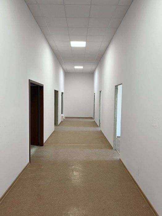 Lokal biurowy/usługowy 245,40 m2, Śródmieście, ul. Daniłowiczowska 18B