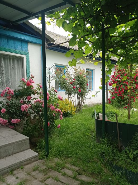 Будинок по трасі Чернігів-Київ в селі Серединка.ЗРУЧНОСТІ. Зем. 2га.