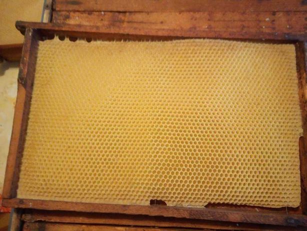 Ramki pszczele odbudowane ostrowskiej zestaw 53 sztuki,
