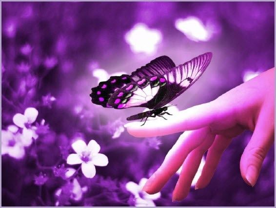 Предлагаю услуги сиделки