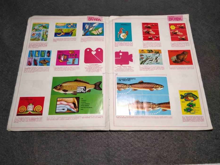 Antiga caderneta A origem da vida - falta 1 cromo