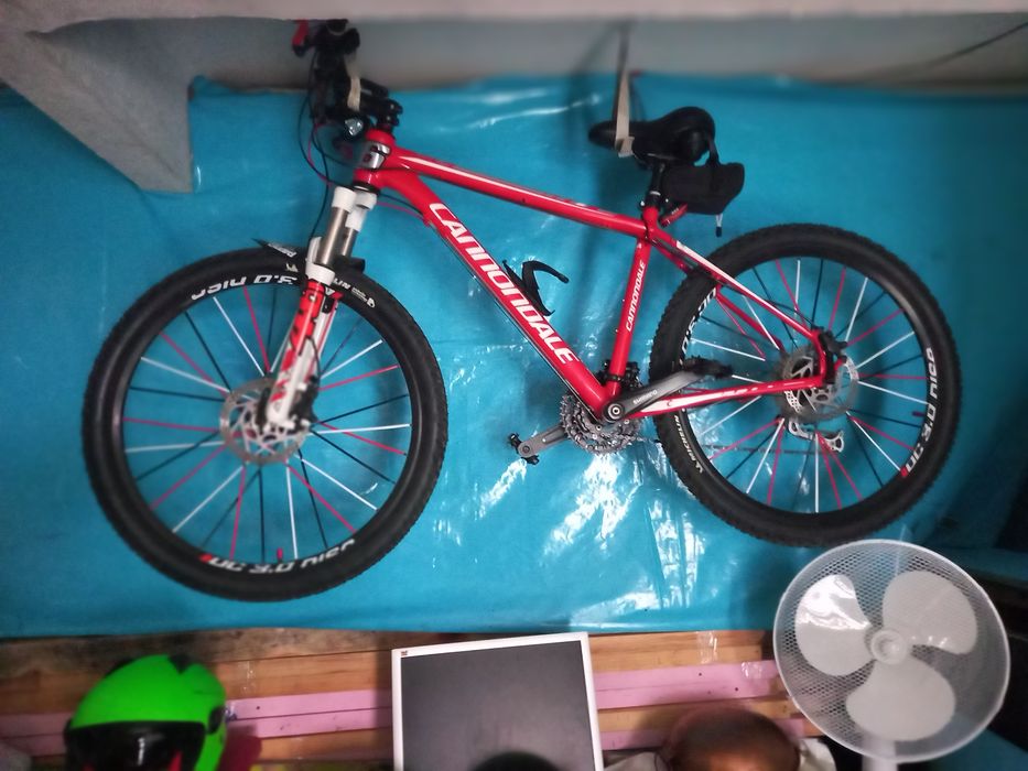 Bicicletas de varias marcas