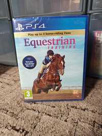 PS4 Equestrian Training NOWA