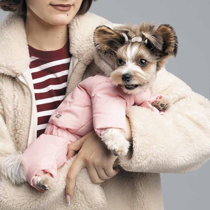Комбінезон для собак зимовий judy pet fashion