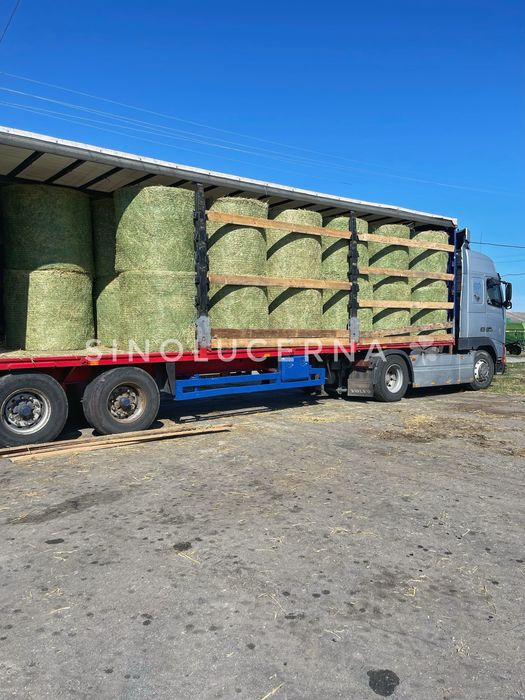 Сіно люцерни в круглих тюках. Укос 2025