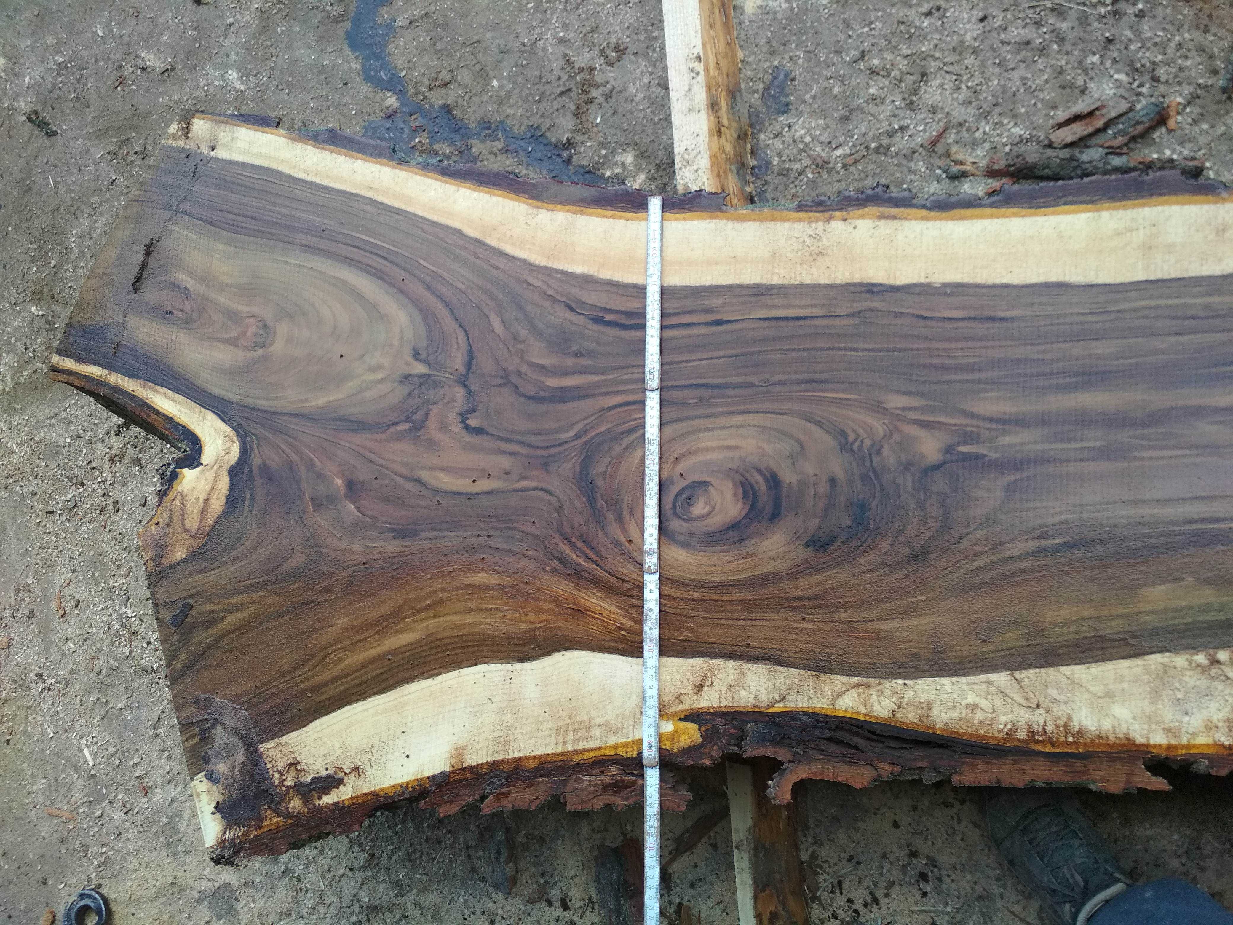 ORZECH drewno drzewo tarcica deski brusy walnut slabs