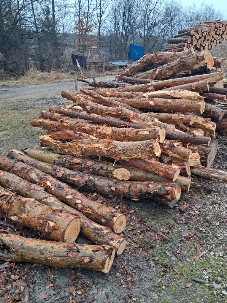 Drewno opałowe sosna