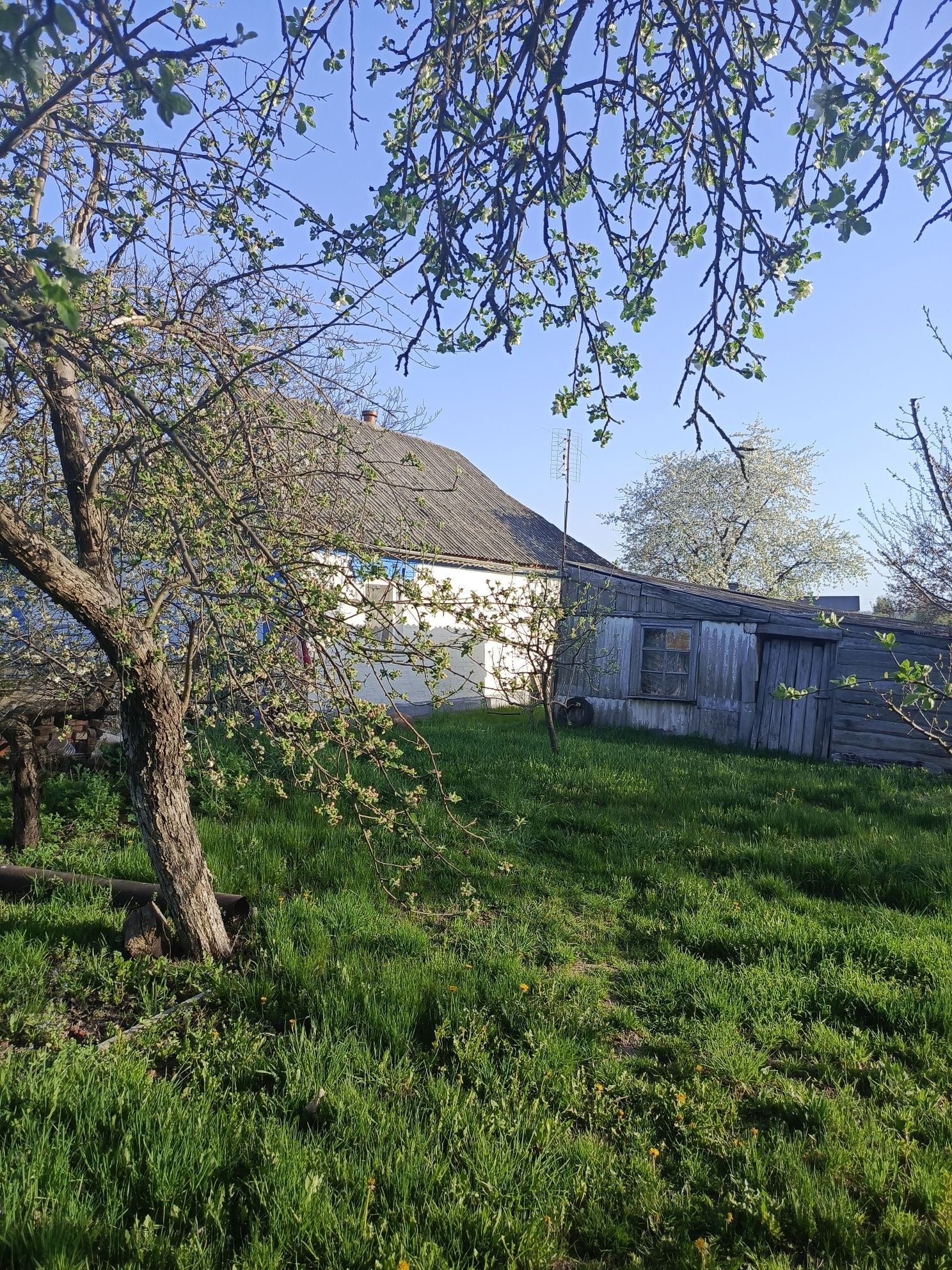 Продається будинок в селі