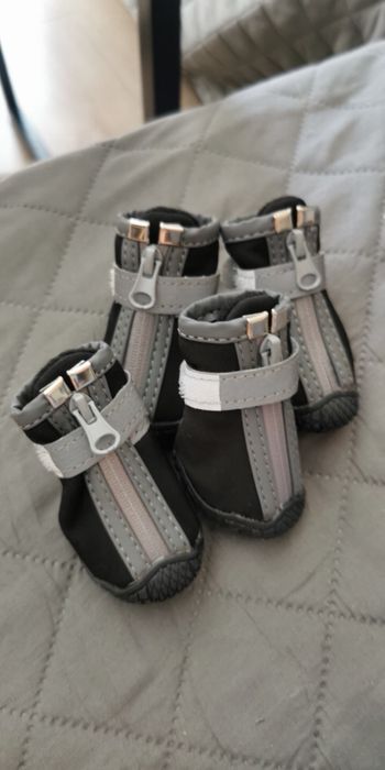Sprzedam buty dla malego pieska