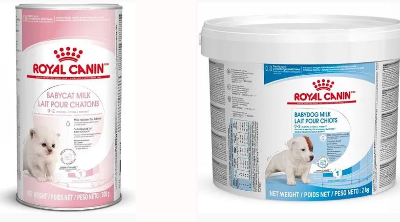 Mleko dla ‼️ Szczeniat • Kociąt • Psów • Kotów, Fretek i innych saków.