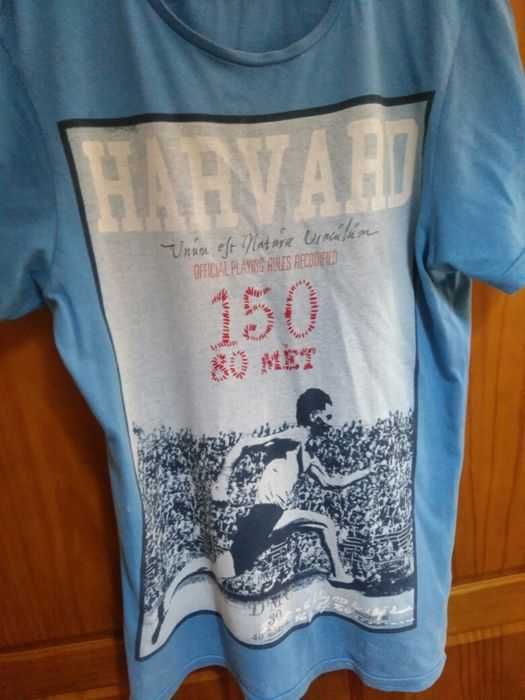Tshirt Harvard Pull&Bear