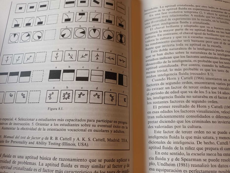 "Tests, Inteligencia y Personalidad" por B. Roberto Colom Marañón