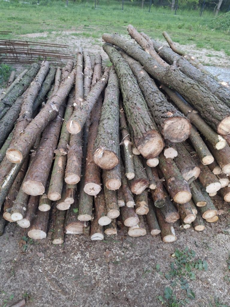 Stęple drewniane