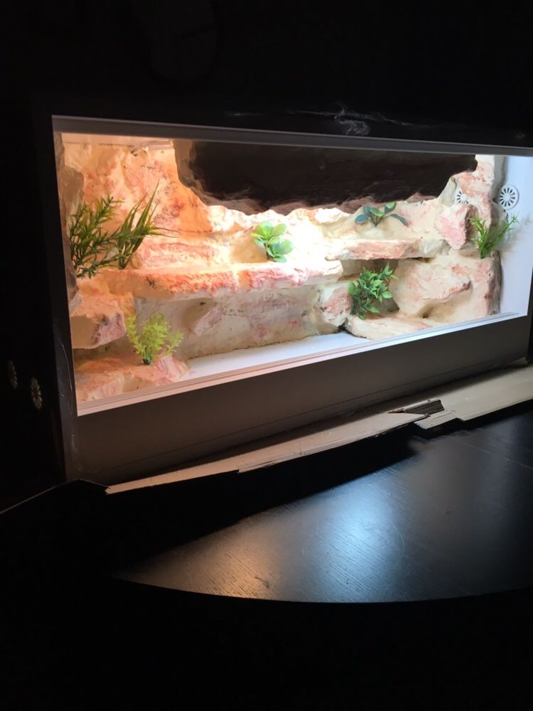 Terrarium 90x40x40 nowe z wystrojem