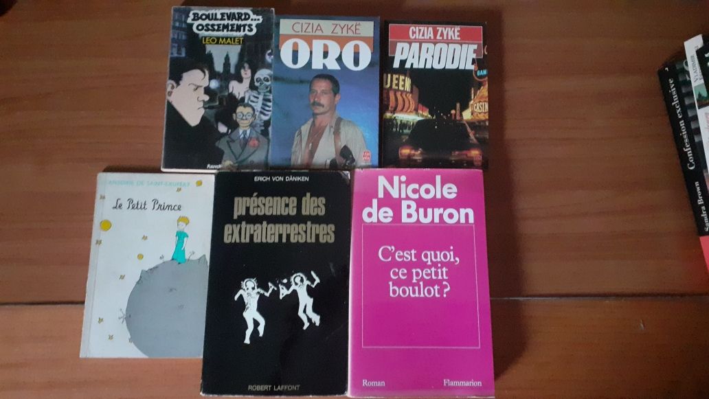 Literatura diversa em francês